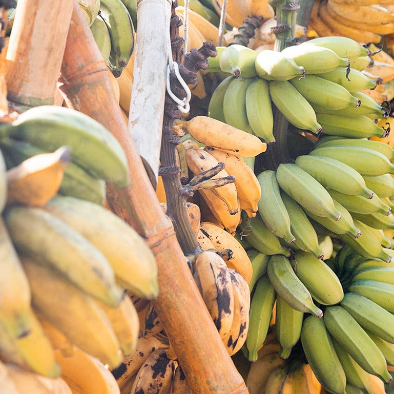 <h4><strong>Banany</strong></h4>